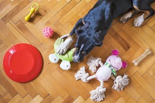 互動模式功能可讓狗狗持續至少兩小時的遊戲活動