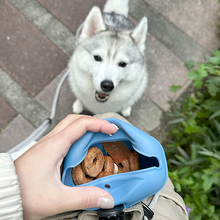訓練幼犬時使用狗狗訓練零食袋