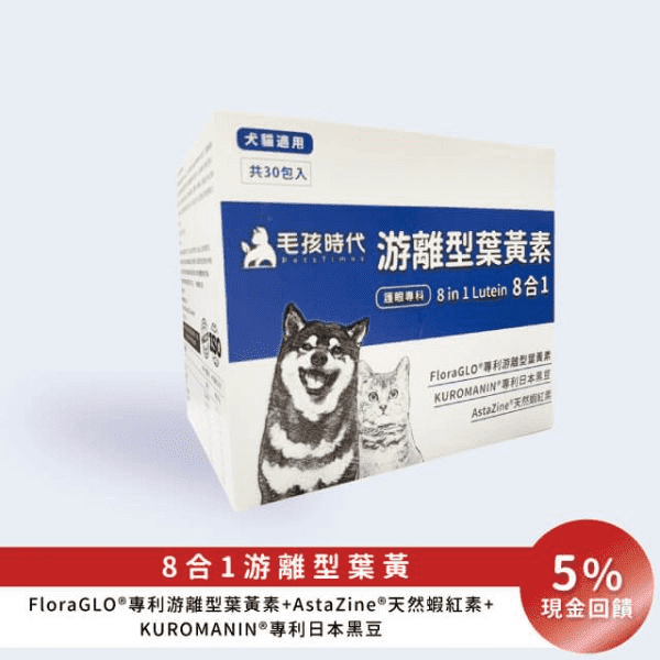 補充葉黃素可以幫助狗狗眼睛健康。