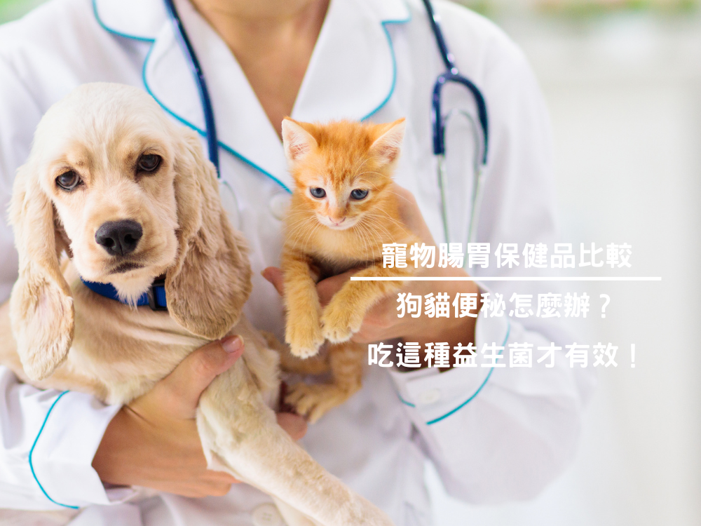 寵物腸胃保健品比較 | 狗貓便秘怎麼辦？吃這種益生菌才有效！