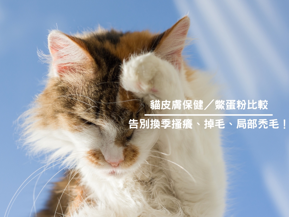 犬貓皮膚保健／鱉蛋粉比較｜告別換季搔癢、掉毛、局部禿毛！