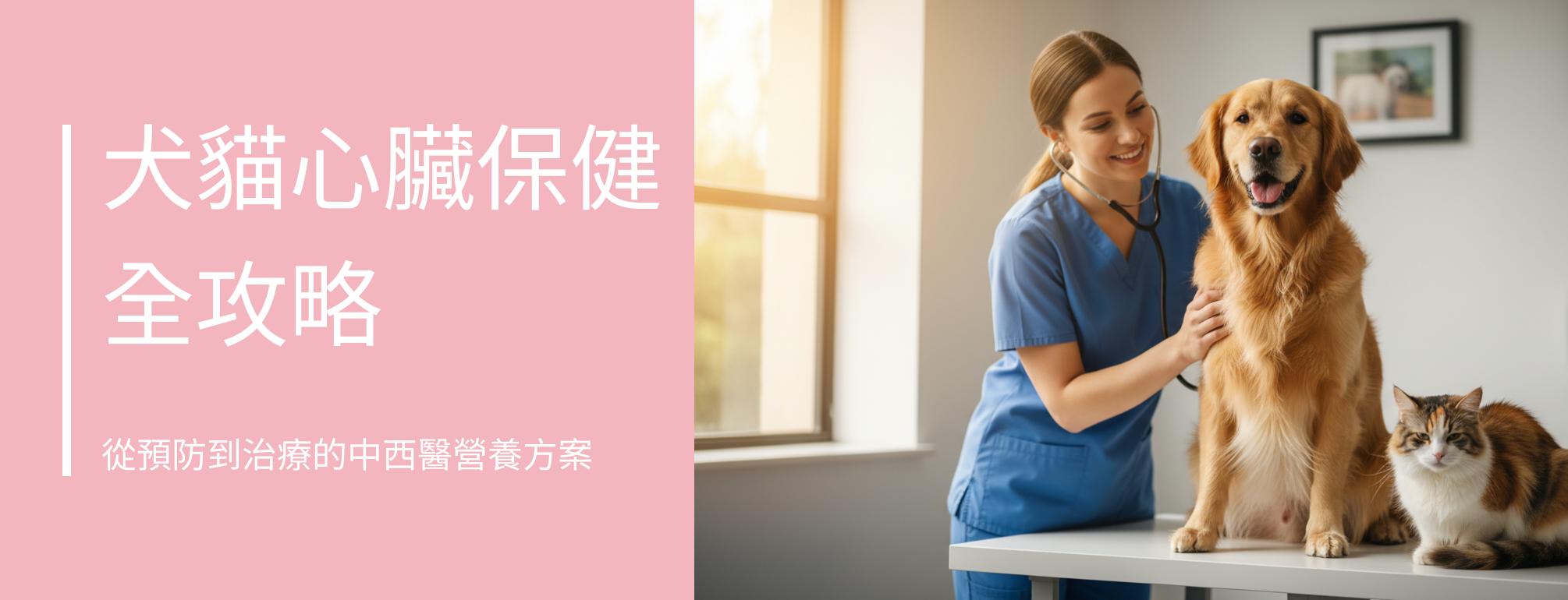 犬貓心臟保健全攻略｜從預防到治療的中西醫營養方案