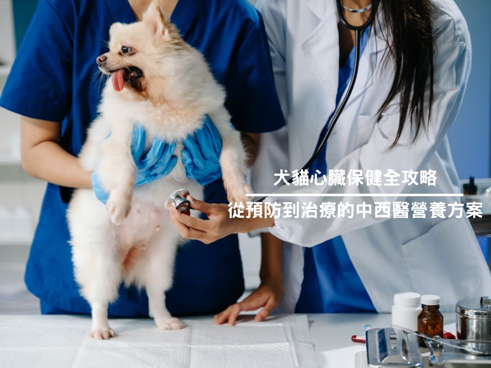 犬貓心臟保健全攻略｜從預防到治療的中西醫營養方案